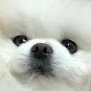 Mの画像