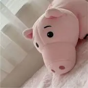 みさこの画像