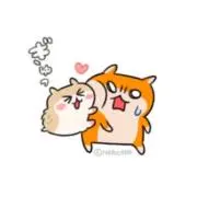 みみ︎✦︎