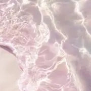 riiの画像