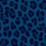 さよなら洋服達の画像