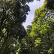 jj※コメント不要です※の画像