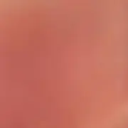 会
