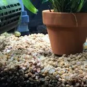 ミヤップン
