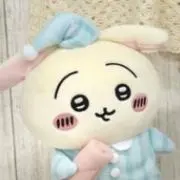 ぴぴ୨୧プロフ見てくださいの画像