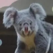 maimochanの画像