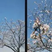 k☆の画像