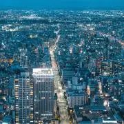 ユキの画像
