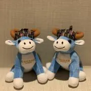 みっちの画像