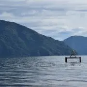 コンテントの画像