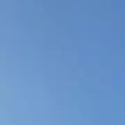 みの画像