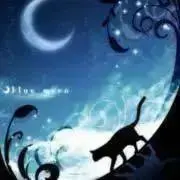 BLACK CAT(断捨離中)の画像