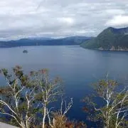 motsuの画像