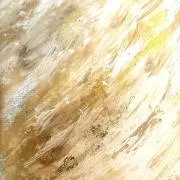 007の画像