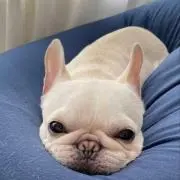 かずりん