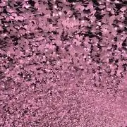 るっしー