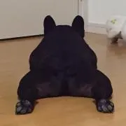 キャッピーの画像