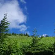ぽえたろうの画像