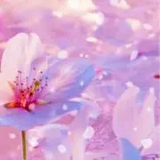 ☺︎りあᙏ̤̫͚aᙏ̤̫͚a