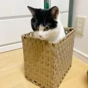 みちまま