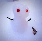 まめこの画像