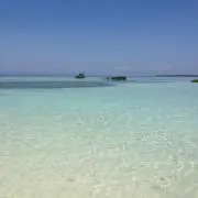 Nariの画像
