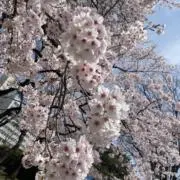 神の人間の画像