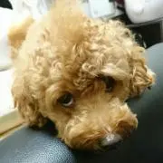 山田太郎