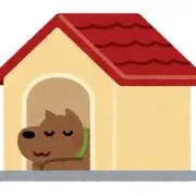 抹茶の画像