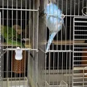 yukioの画像
