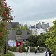 はるさんの画像