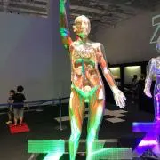 人体模型