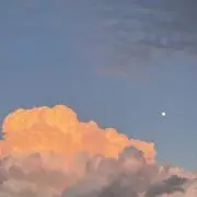 ぷりんの画像