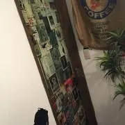 ディーの画像
