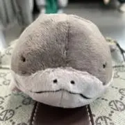 じゅりまる