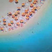 aoの画像