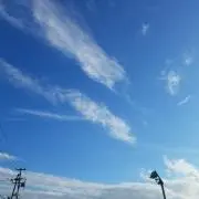 しい