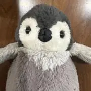 たけちゃんの画像