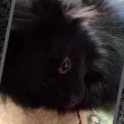 まぁちゃんの画像