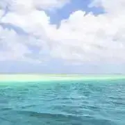 HARUの画像