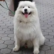 くぅた