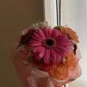 ミミの画像