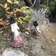 きのこの画像