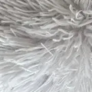 ななの画像