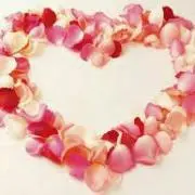 sh♡の画像