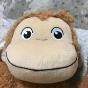 あおひなの画像