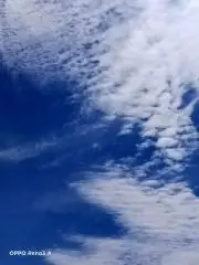Maye5599の画像