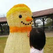 乃愛の画像