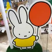まめの画像