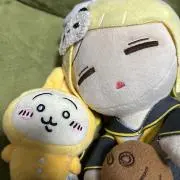 msaの画像